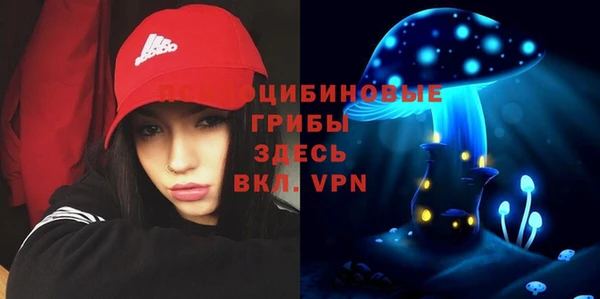 а пвп мука Беломорск