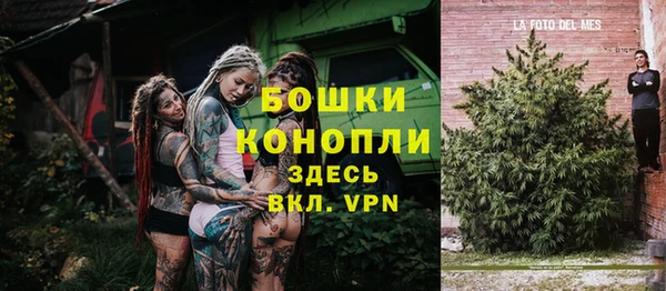 молекула духа Белокуриха