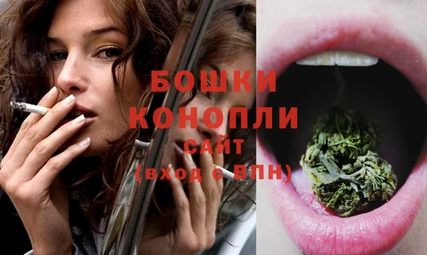 гидра Белоозёрский