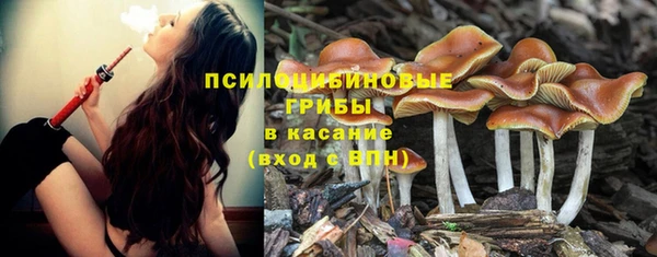 молекула духа Белокуриха